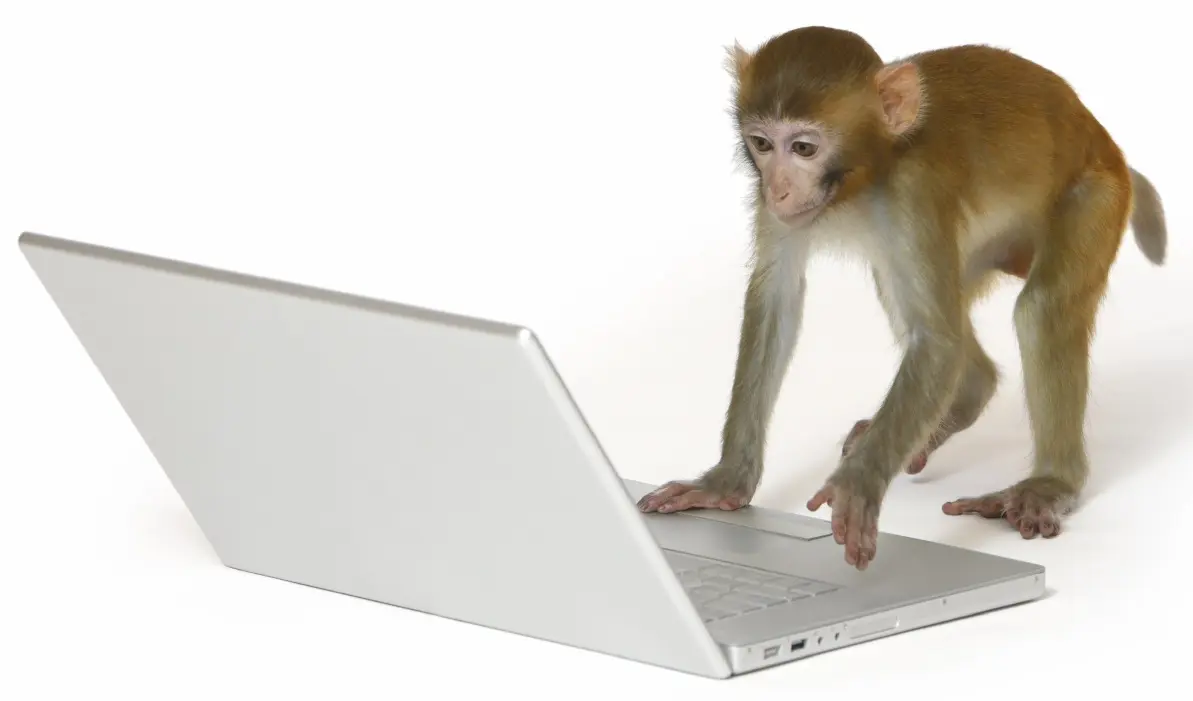 9a23d8b5c317e1353a4ea3b70790277c