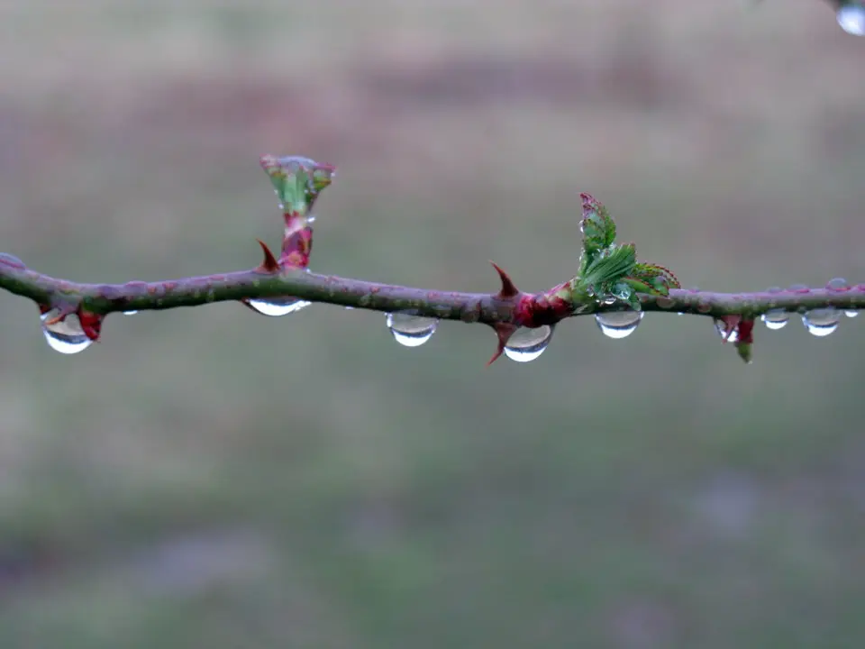 d5a9f8319a05fb71b719040ed1afd6ac